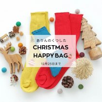 【ゆうパケット送料無料】ありんのくつしたクリスマスハッピーバッグ